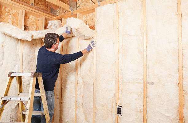 Best Insulation for New Construction  in Tawas City, MI